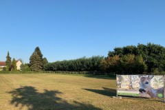 Mittel_1-IMG_9820
