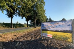 Mittel_2-IMG_9814