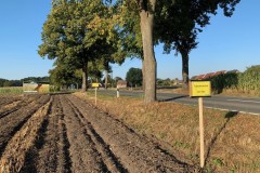 Mittel_2-IMG_9816