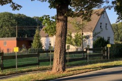 Mittel_3-IMG_9822