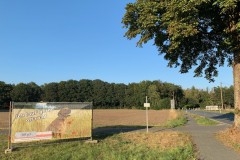 Mittel_3-IMG_9826