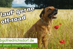 hund