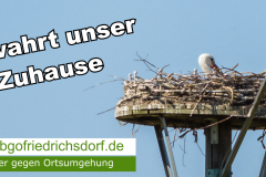 storch