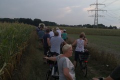 Mittel_IMG_20190827_173903